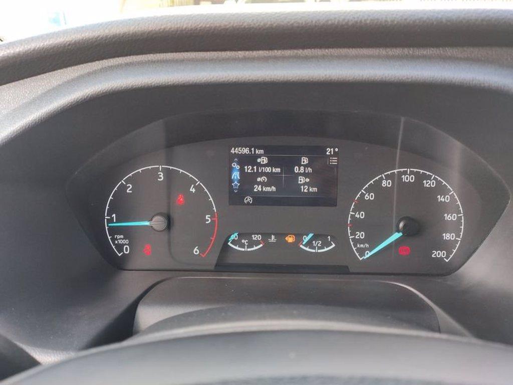 FORD Transit 350 L2H2 Trend 2.0 Eco MHEV 130 Cv del 2022