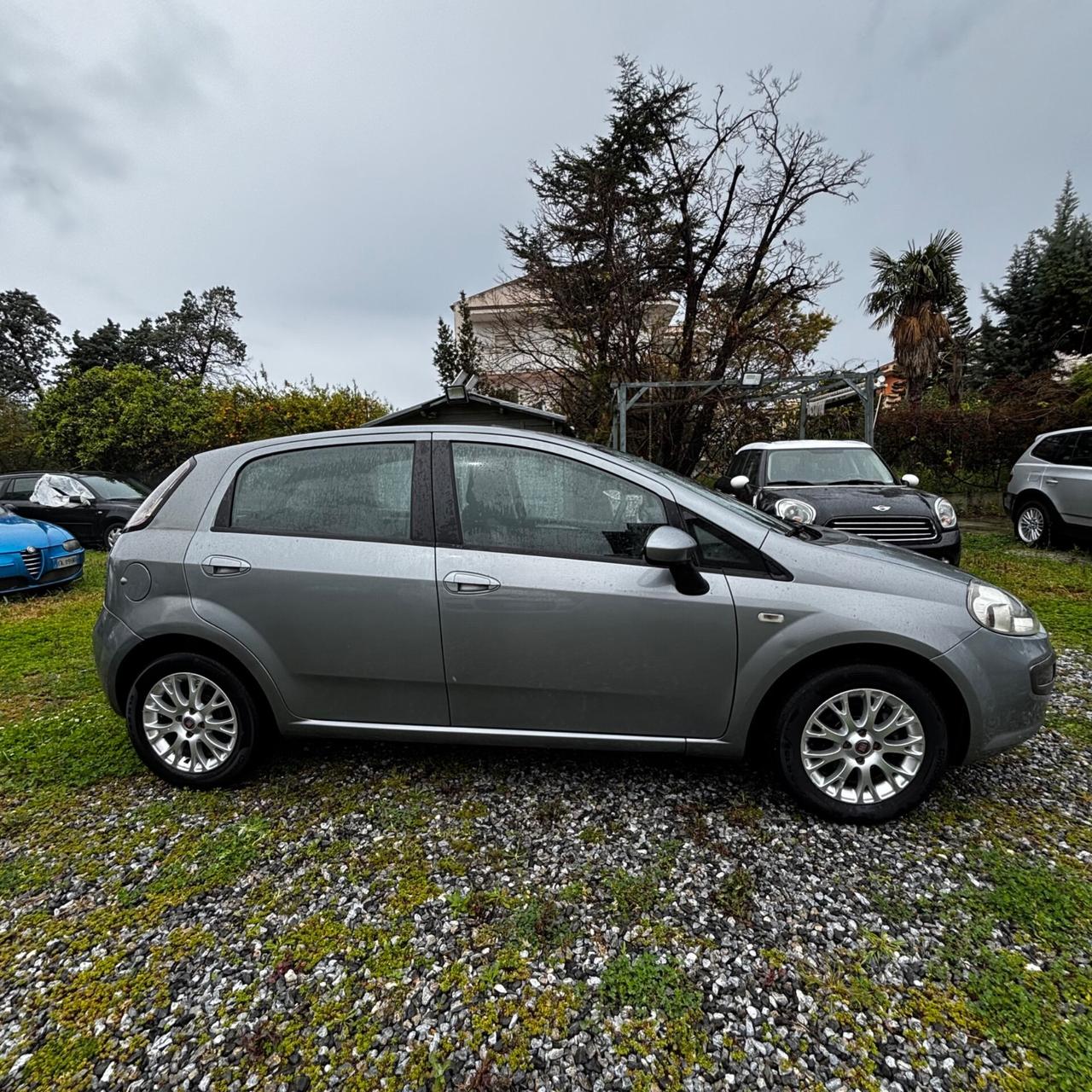 Fiat Punto Evo 1.2 5 porte S&S Active
