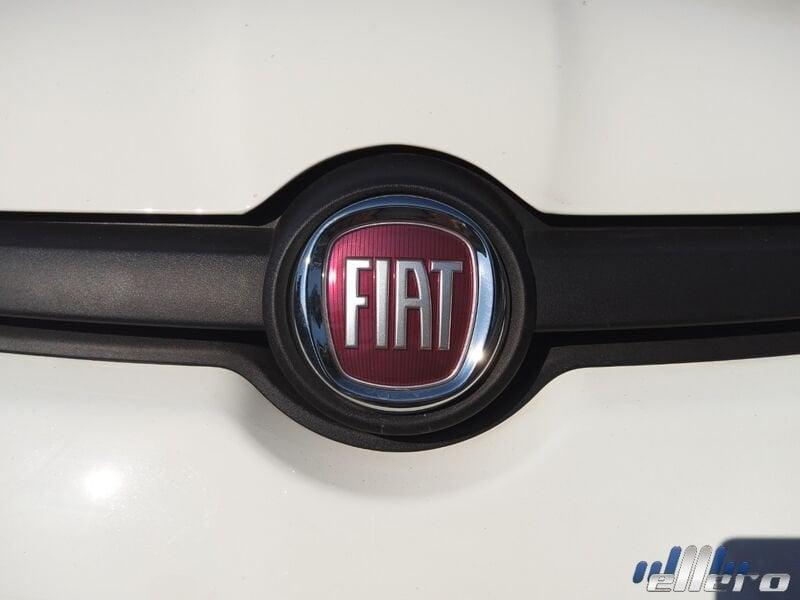 FIAT Panda MY25 1.0 70cv Hybrid