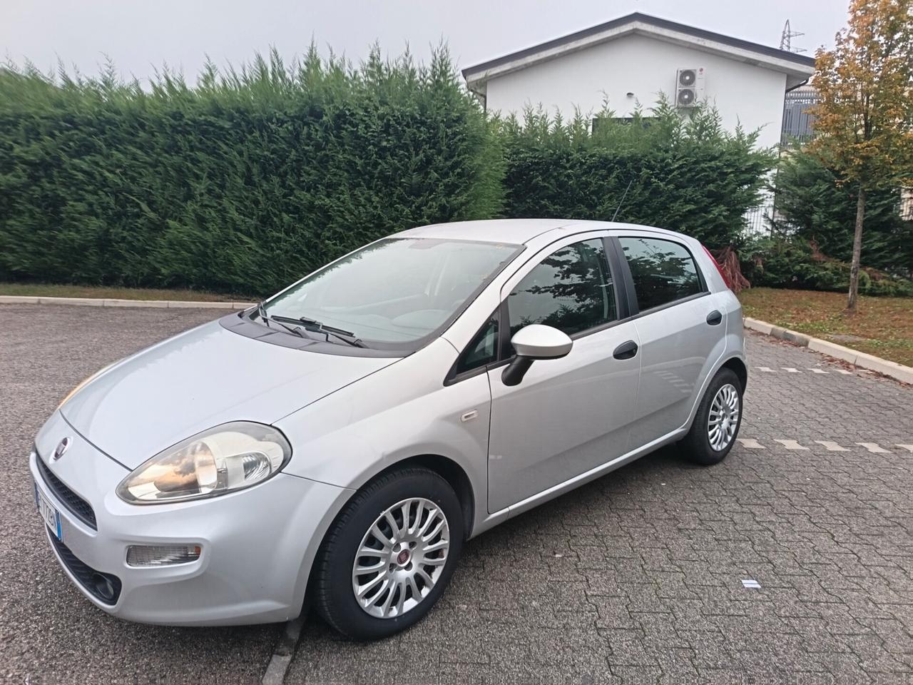 Fiat Punto 1.3 MJT II 75 CV 2015 ok neo patente