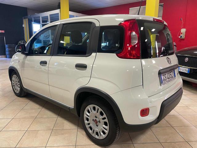 FIAT Panda 1.0 FireFly S&S Hybrid-PREZZO +IVA