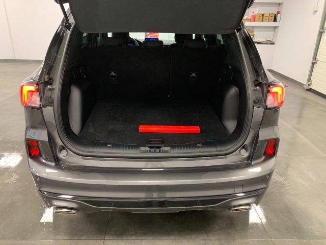 FORD Kuga 2.0 Diesel Automatico ST-Line X StraFull 2WD