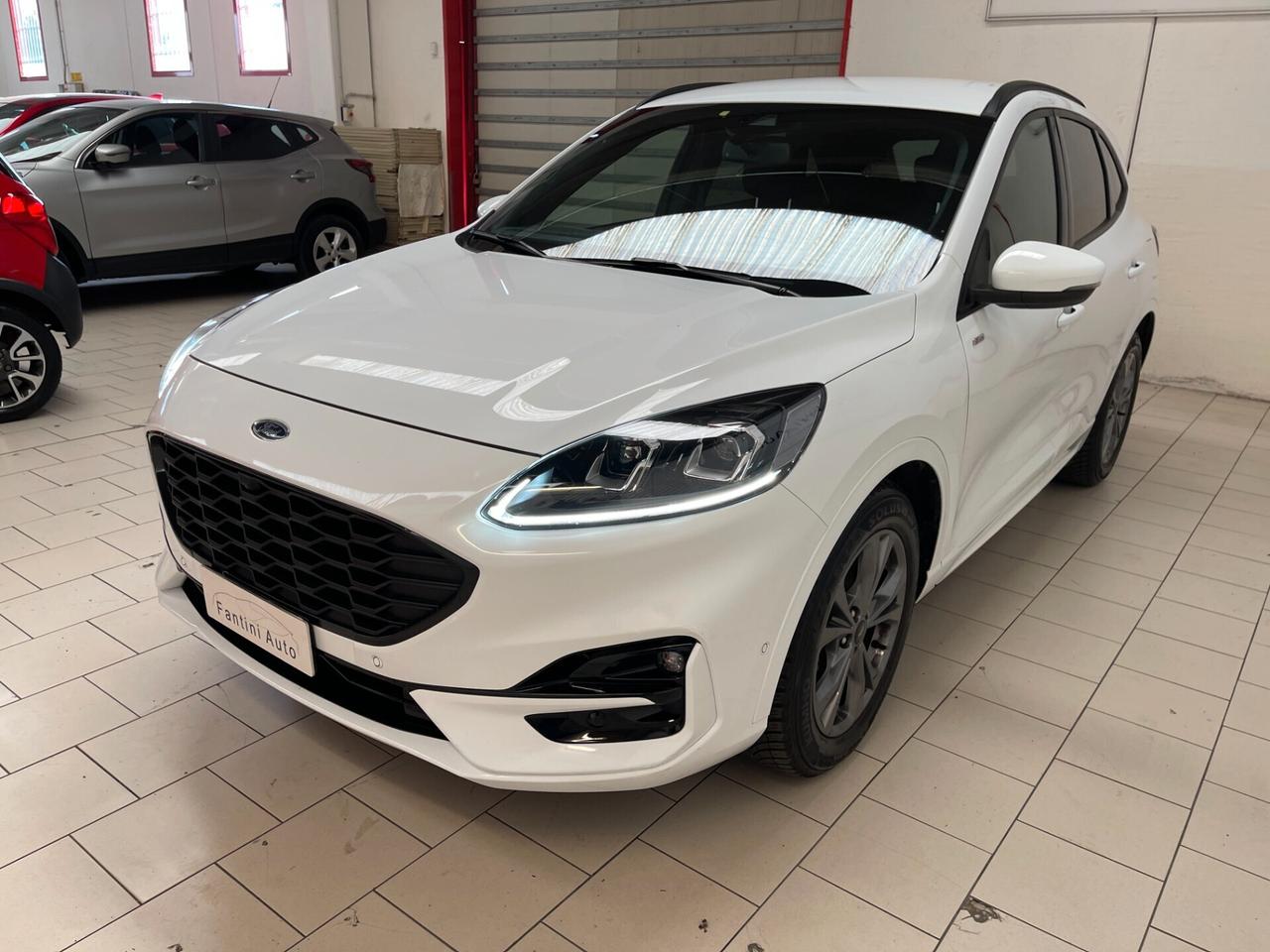 Ford Kuga ST-Line X 2.0d 120cv c.auto-Ok Neopat-LEGGI SOTTO