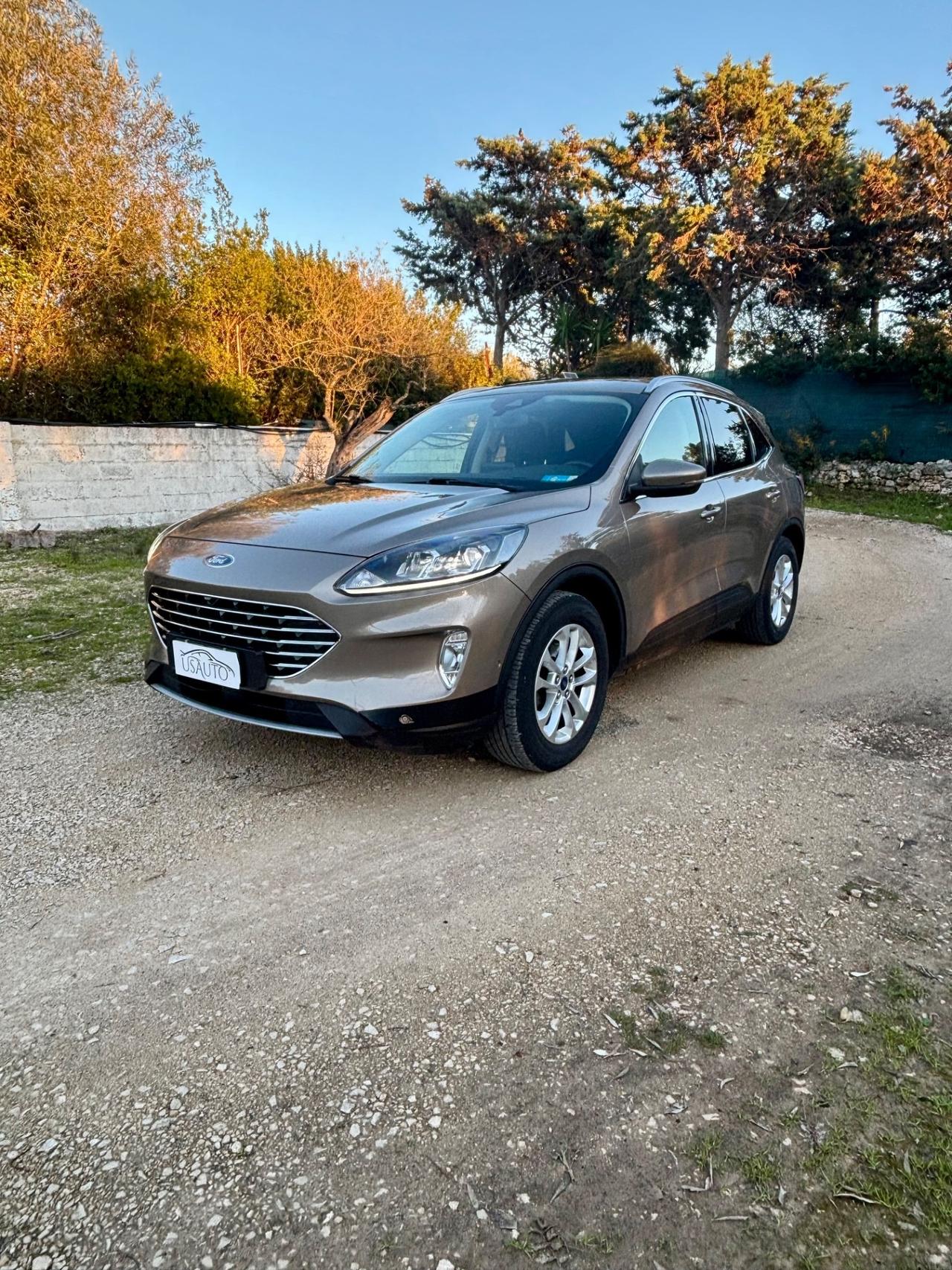 Ford Kuga 1.5 EcoBlue 120 CV 2WD Titanium