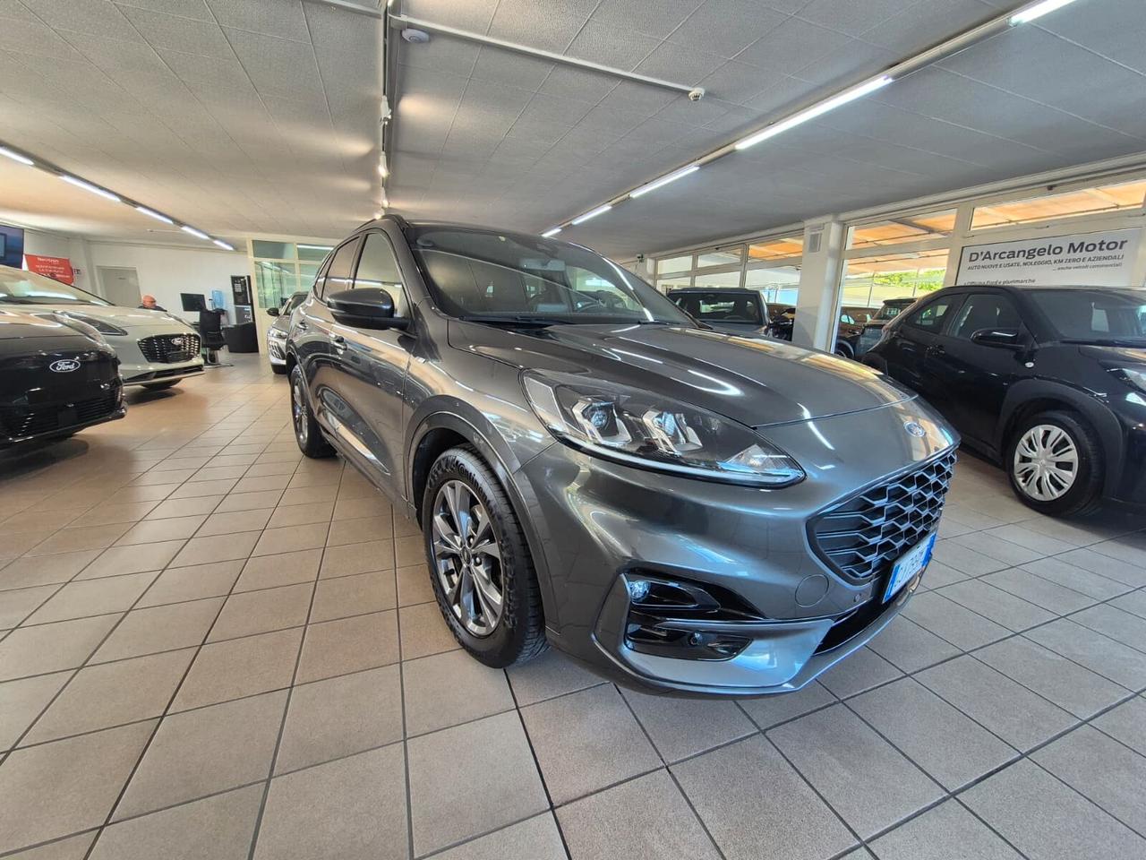 Ford Kuga 1.5 EcoBlue 120 CV 2WD ST-Line