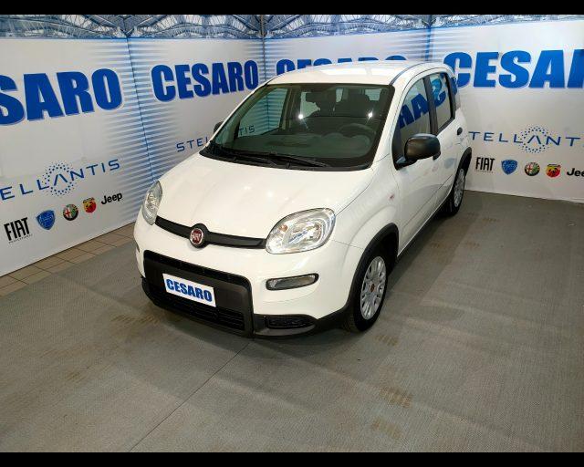 FIAT New Panda 1.0 firefly hybrid s&s 70cv 5p.ti