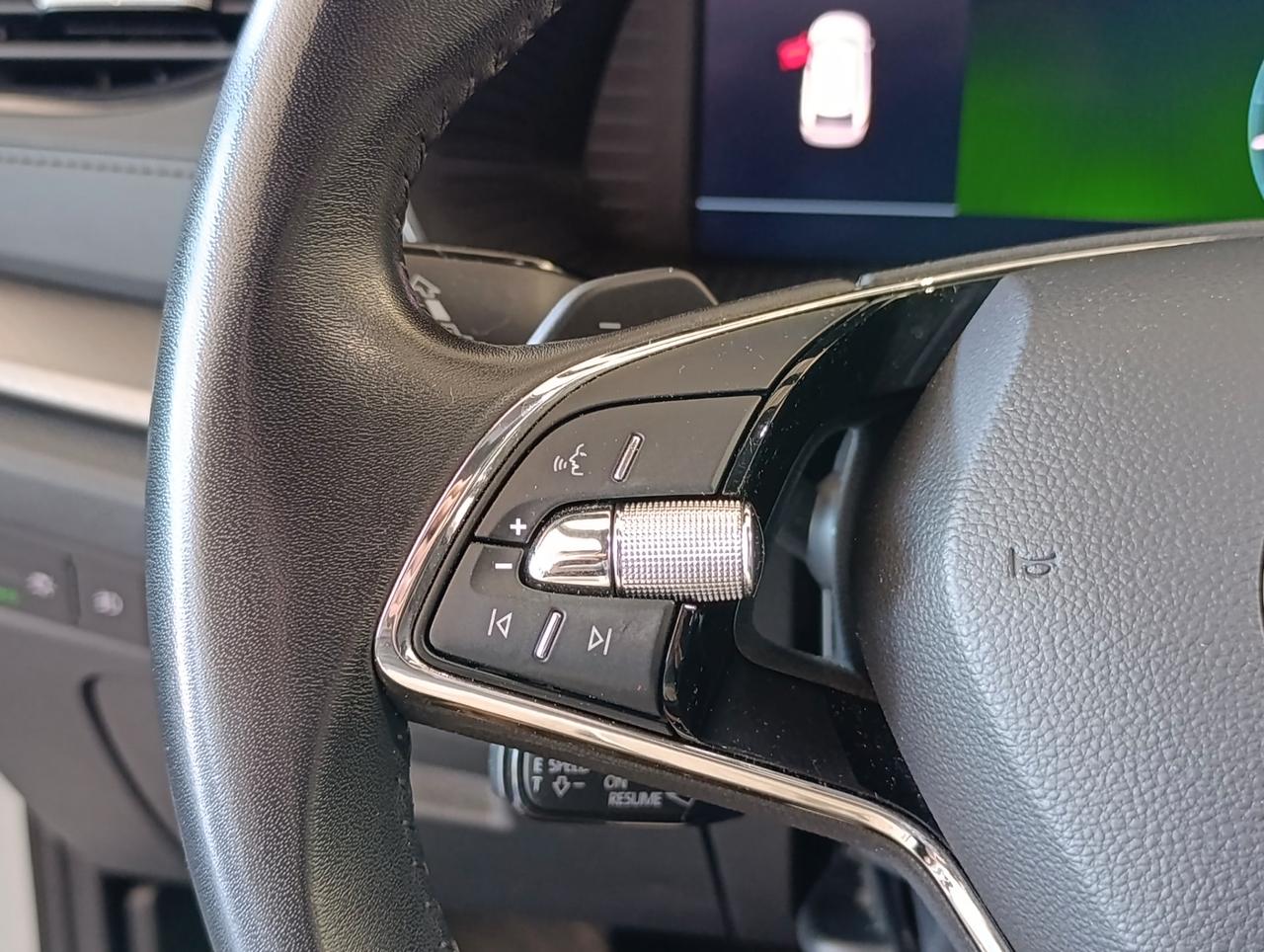 Skoda Octavia Wagon 2.0 tdi evo Executive 115cv dsg