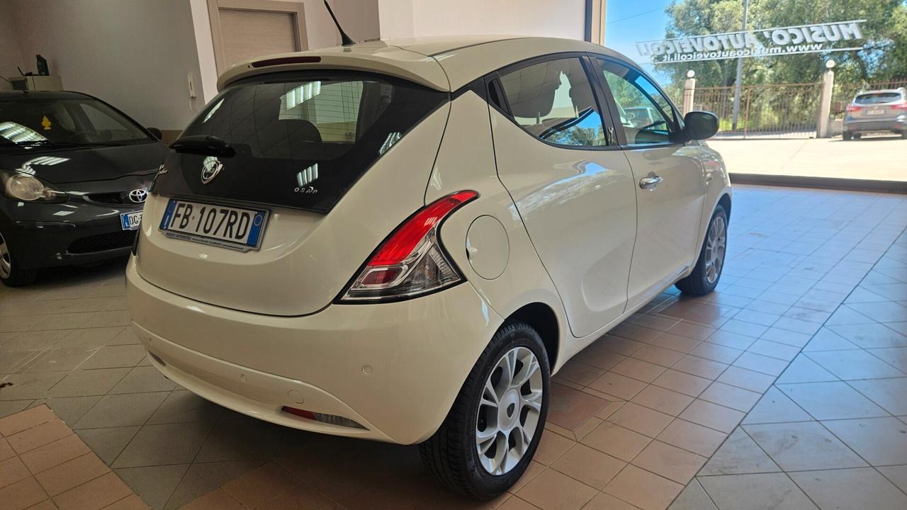 Lancia Ypsilon 1.3 MJT 16V 95 CV 5 porte S&S Platinum