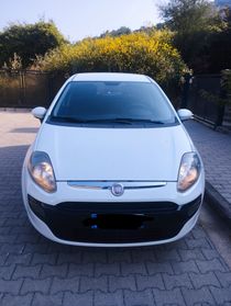 Fiat Punto Evo Punto Evo 1.2 5 porte S&S Dynamic