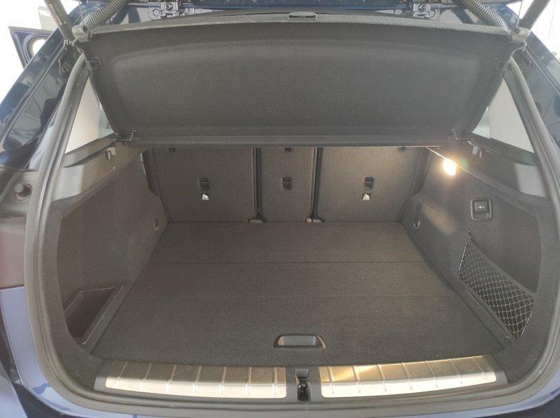 BMW X1 (F48) - X1 xDrive20d xLine