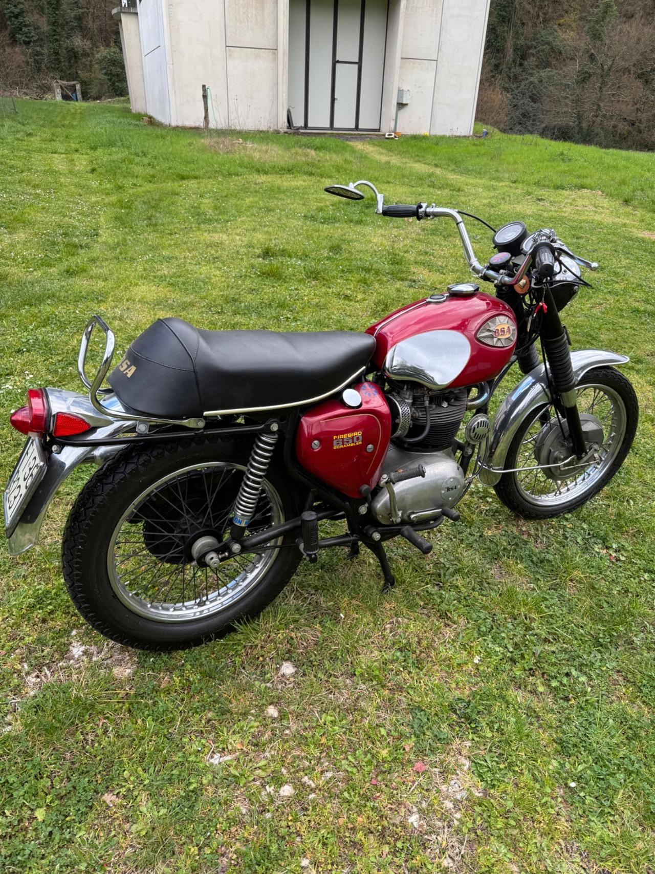 Bsa 650 firebird