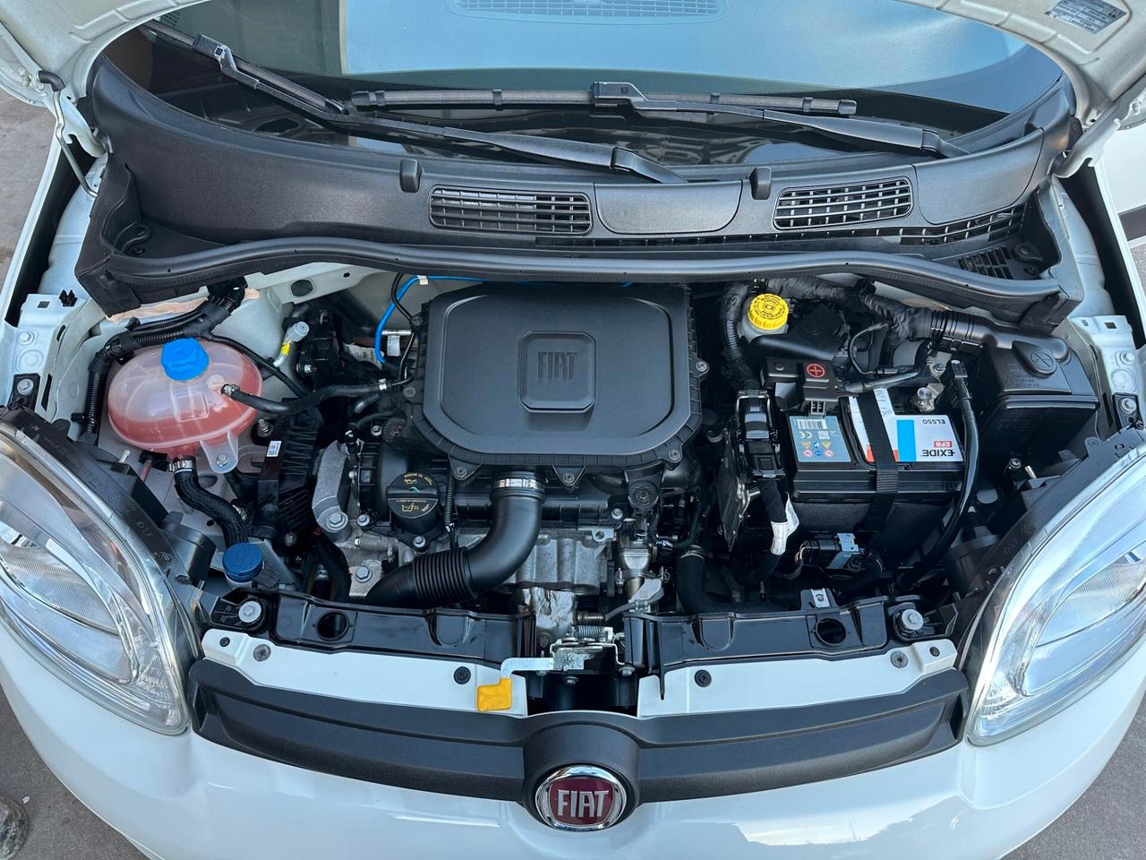 Fiat Panda 1.0 FireFly S&S Hybrid PREZZO PROMO