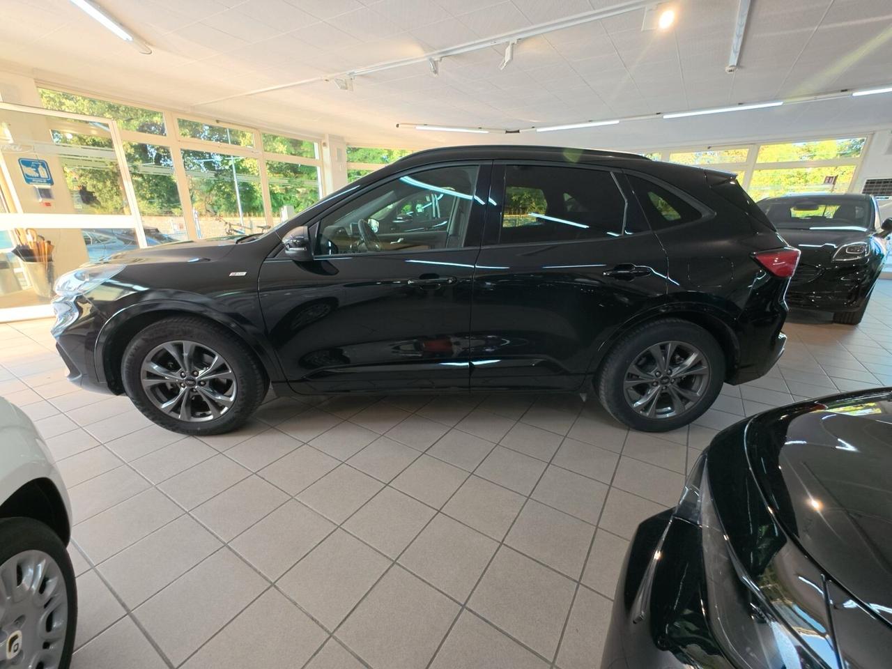 Ford Kuga 1.5 EcoBlue 120 CV 2WD ST-Line MANUALE