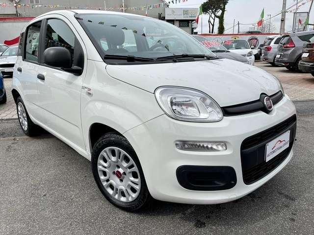 Fiat Panda Panda 1.2 Easy*NO OBBLIGO FINANZIAMENTO* PRONTA