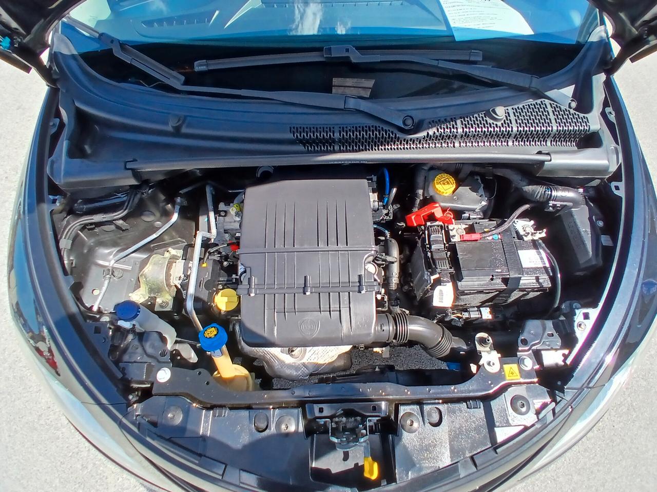 Lancia Ypsilon 1.2 BENZINA 70CV GOLD 2019
