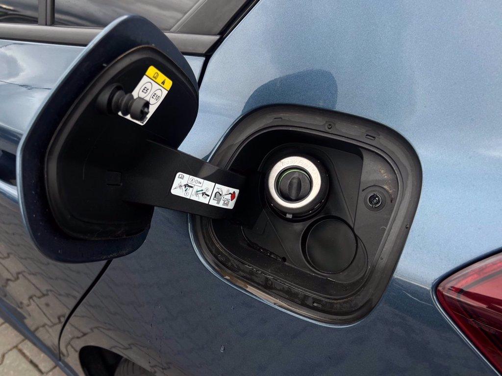 FORD Focus 1.0t ecoboost h ST-Line 125cv del 2023