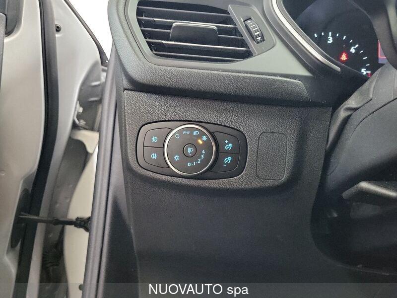 Ford Focus Focus 1.5 EcoBlue 120 CV SW Business