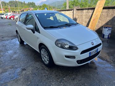 Fiat Punto 1.3 MJT II 75 CV 5 porte Easy