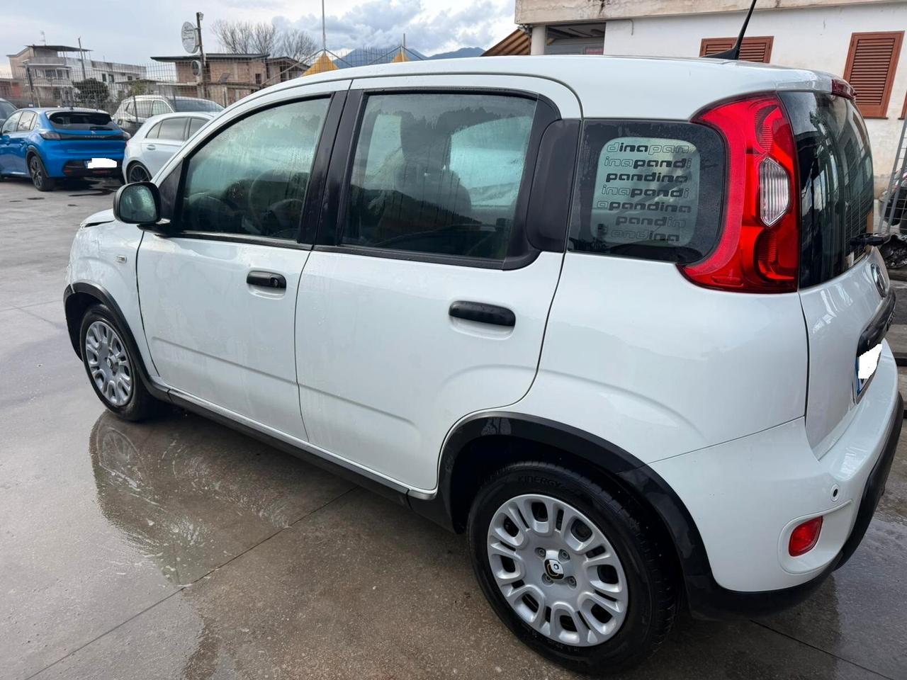 Fiat Panda 1.0 Pandina - 2024
