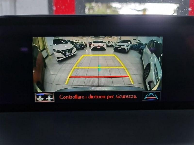 Lexus NX NX Hybrid 4WD Luxury