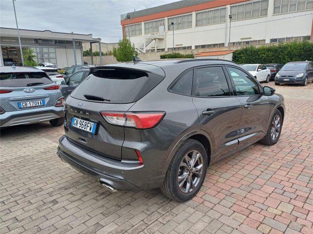 FORD Kuga 3ª serie 2.0 EcoBlue 120 CV aut. AWD ST-Line