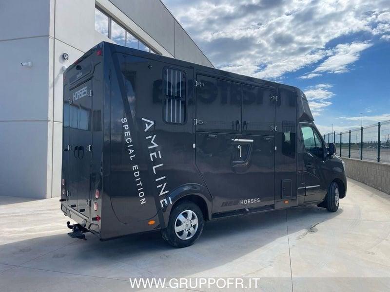 Renault Master RENAULT MASTER AMELINE 165 CV HARAS 5 POSTI NETTO IVA