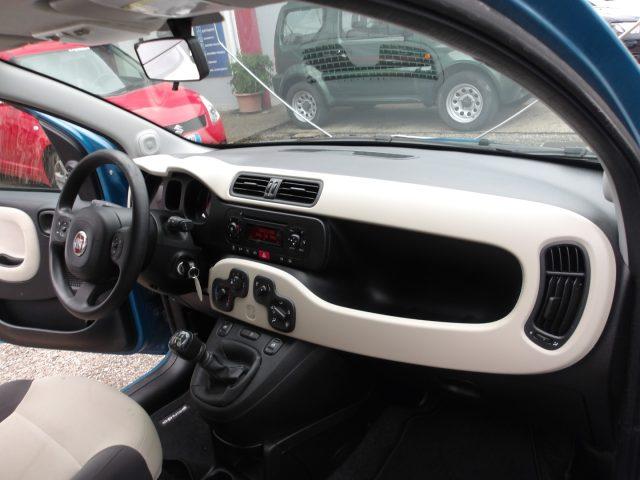 FIAT Panda 1.2 NEOPATENTATI - CINGHIA OK