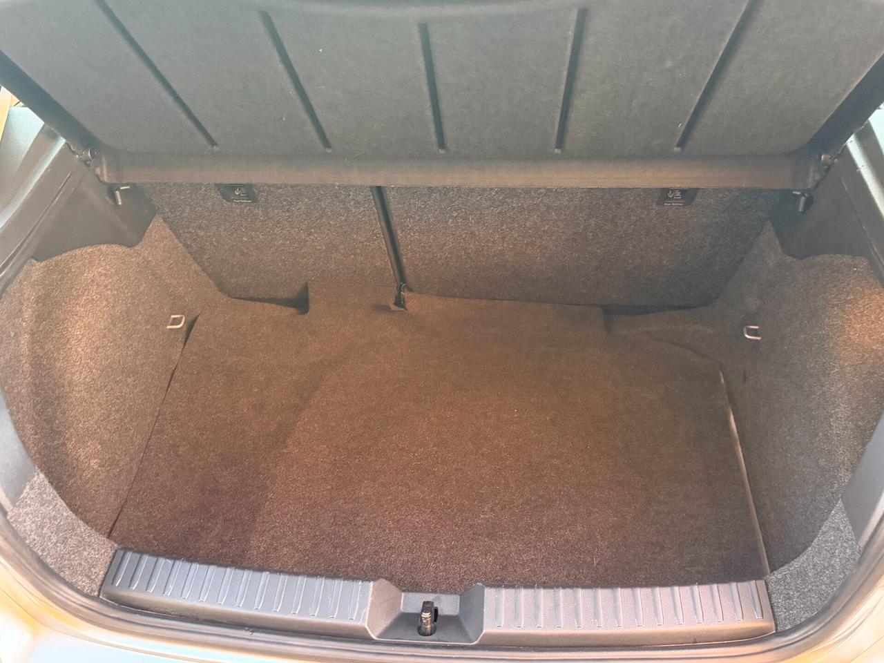 Seat Ibiza 1.6 TDI 95 cv. 5 porte BUSINESS