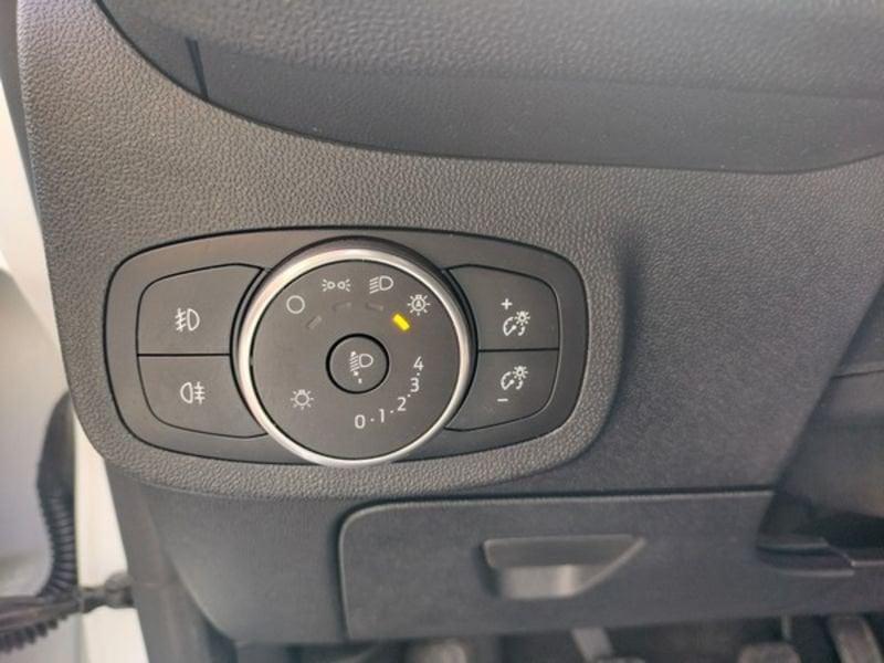 Ford Fiesta Fiesta Active 1.0 Ecoboost 95 CV