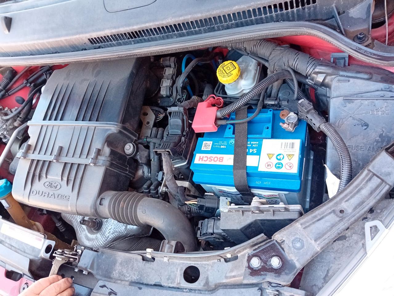 Ford Ka Ka+ 1.2 8V 69 CV Bz.-GPL