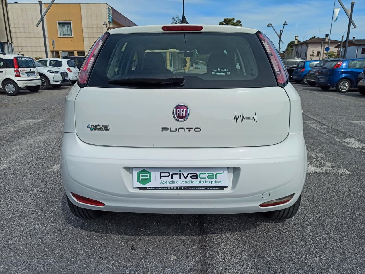 Fiat Punto 1.4 8V 5 porte Natural Power Lounge