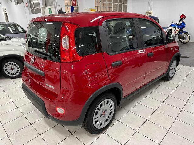 FIAT Panda 1.0 Hybrid PROMO CAR SERENITY