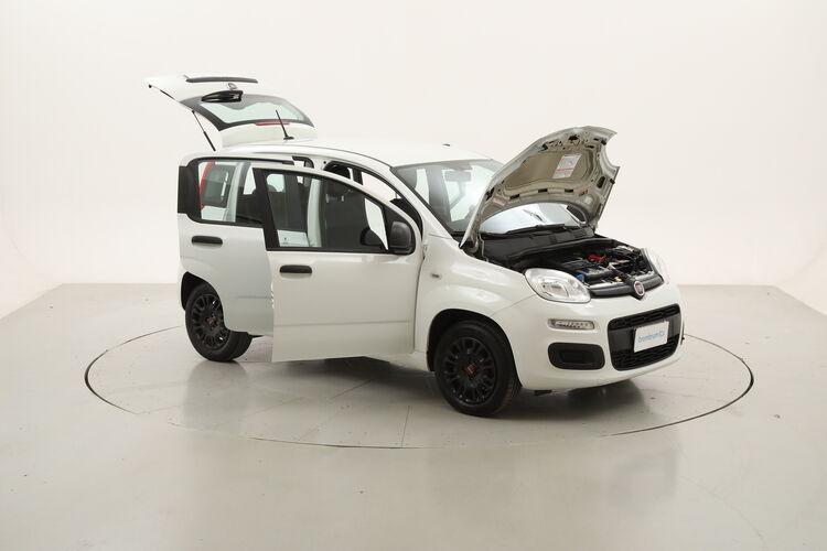Fiat Panda Easy BR236963 1.2 Benzina 69CV