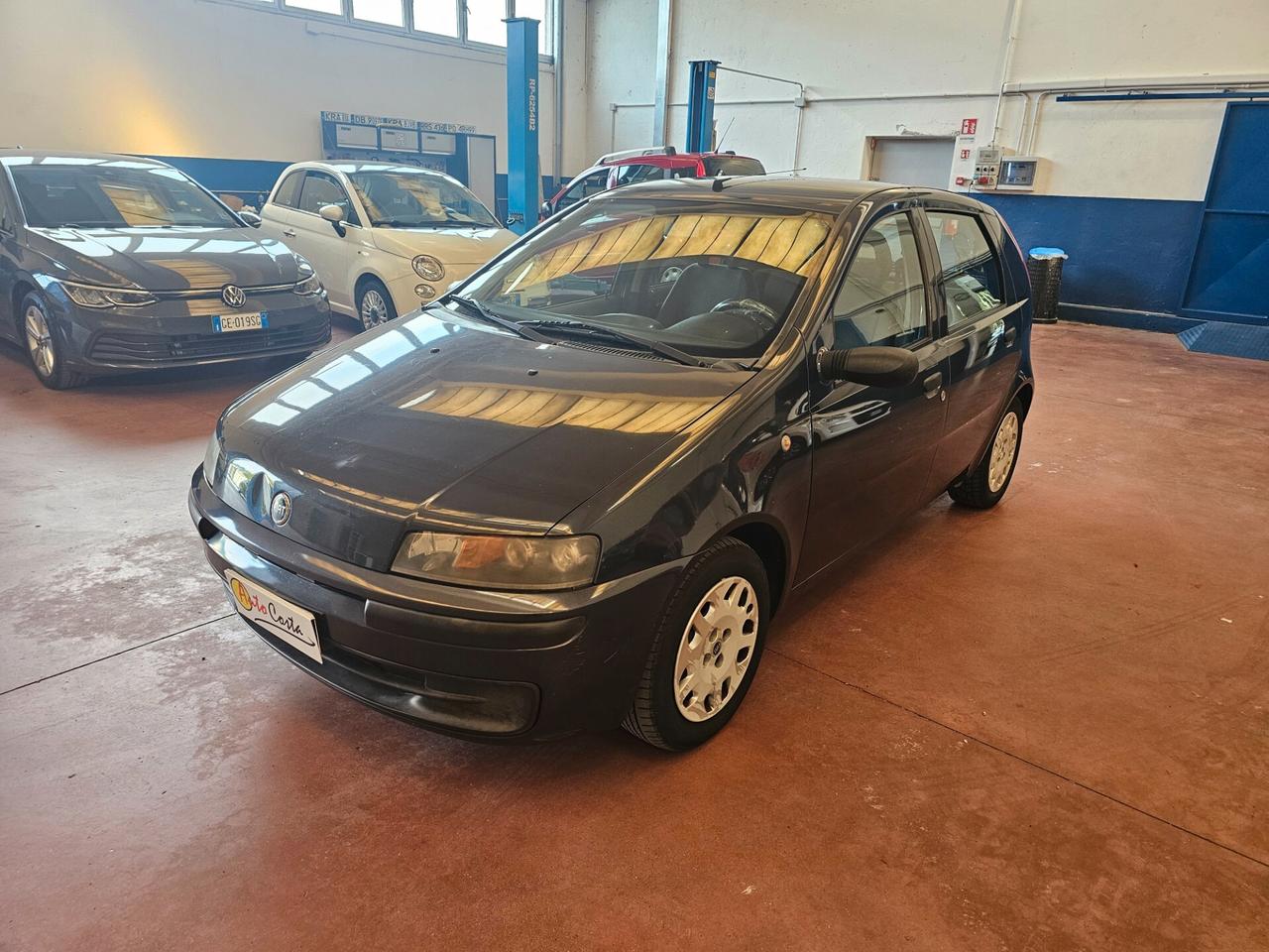 Fiat Punto 1.2i cat 5 porte Verve NEOPATENTATI