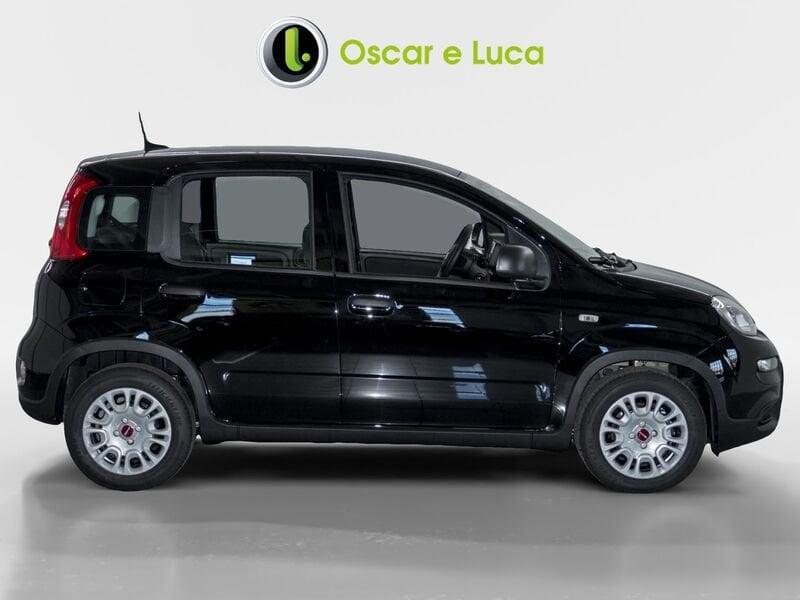 FIAT Panda 1.0 hybrid 70cv