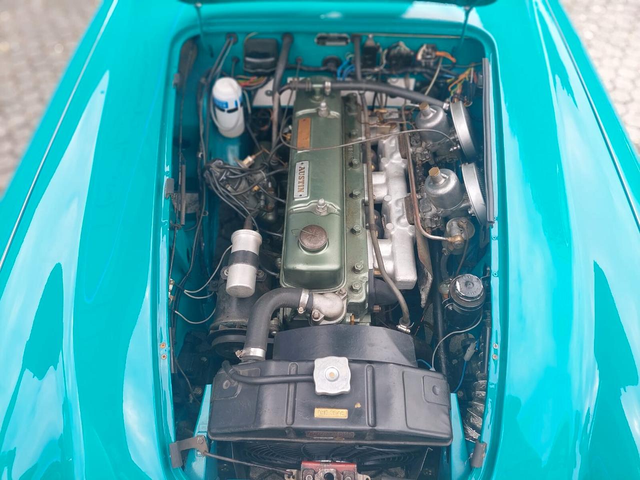 Austin Healey 100/6 BN4 2.7