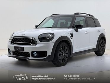 MINI Countryman 2.0 Cooper S Business ALL4 Automatica Pelle-18''
