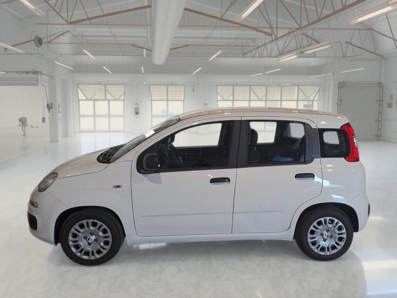 FIAT PANDINA 1.0 FIREFLY 65 CV SES 6M HYBRID ICON 5 PORTE BERLINA