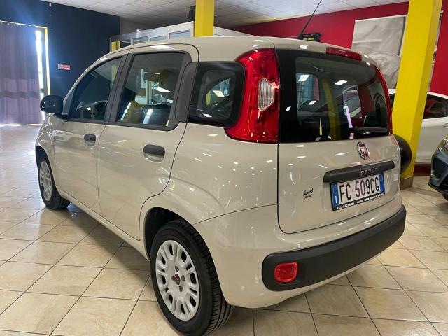 FIAT Panda 1.2 *KM CERTIFICATI/GUIDANEO PATENATI*