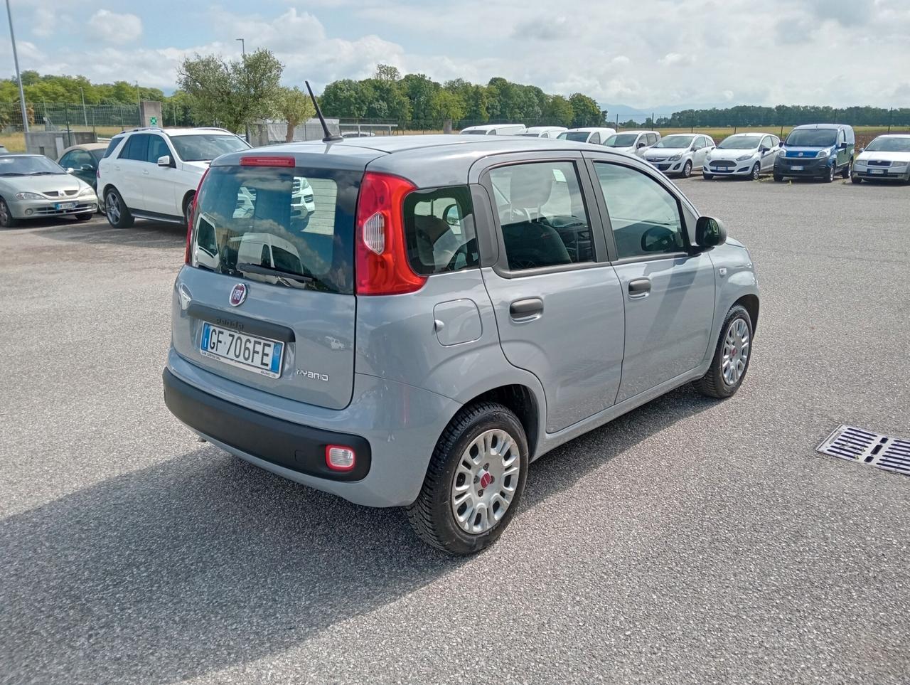 Fiat Panda 1.0 70CV Hybrid OK NEOPATENTATI