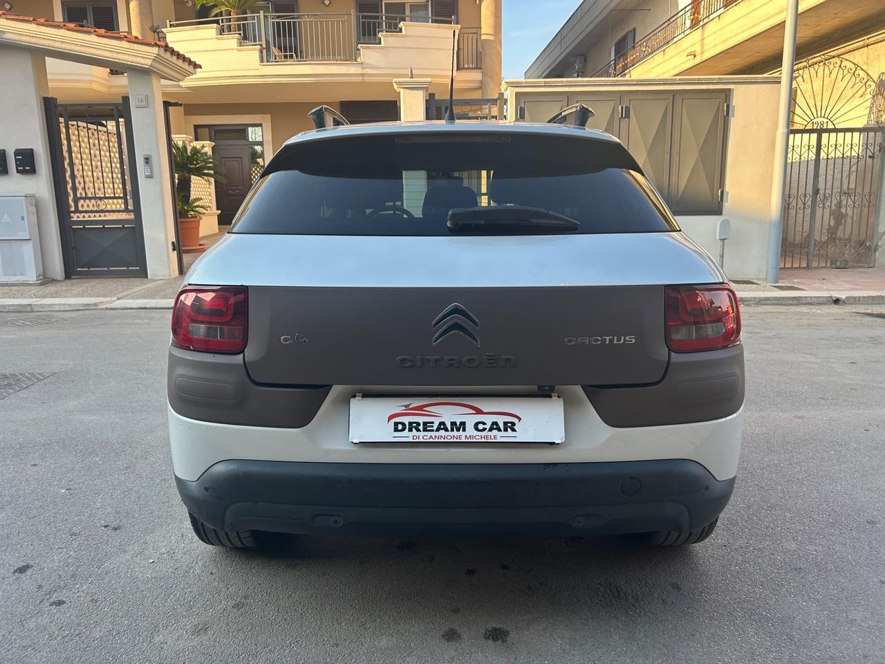 Citroen C4 Cactus BlueHDi 100 Rip Curl
