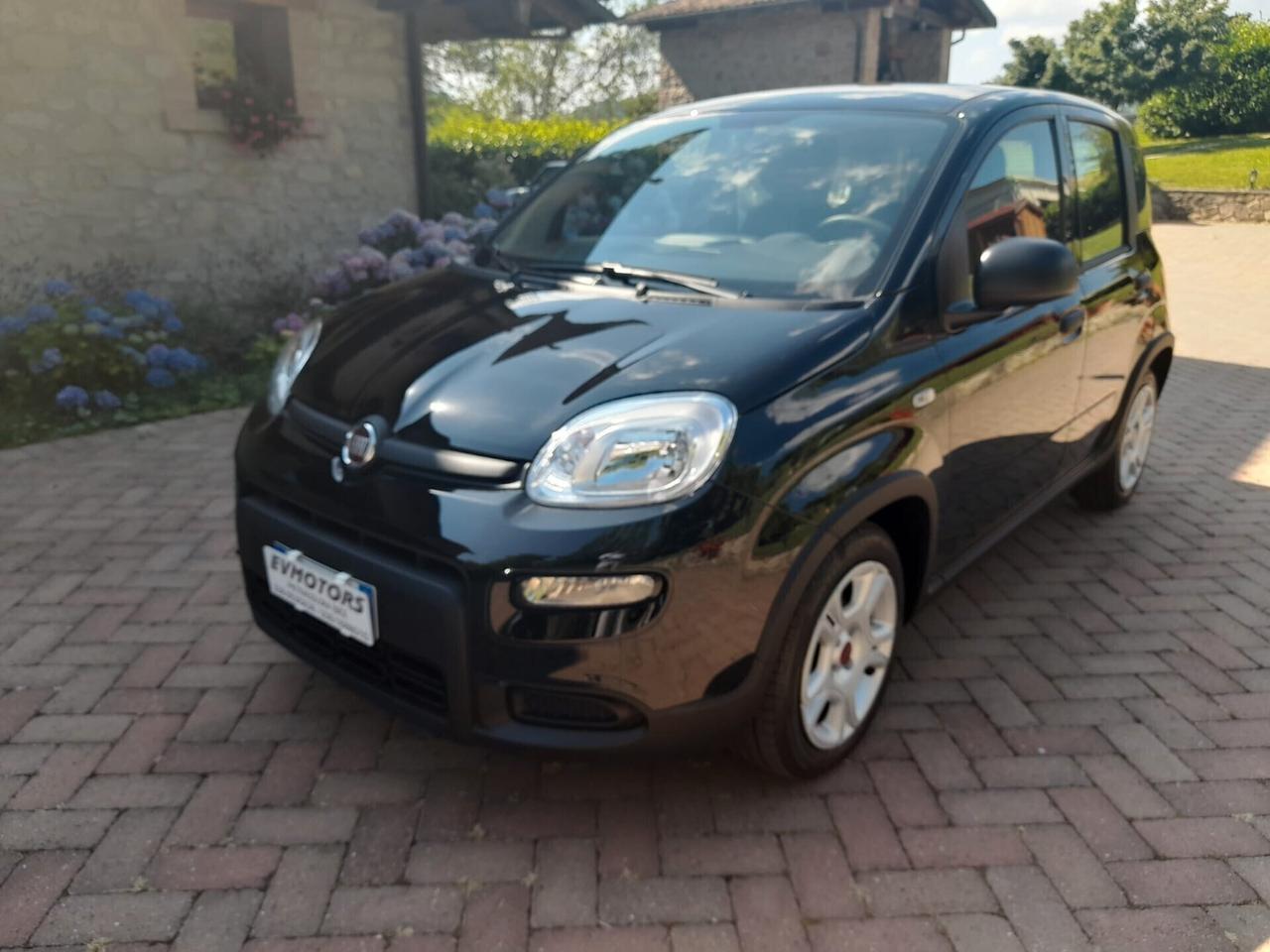 Fiat Panda 1.0 FireFly S&S Hybrid - KM 0 DI VARI COLORI - NO PROMO FINANZIARIA NEOPATENTATI