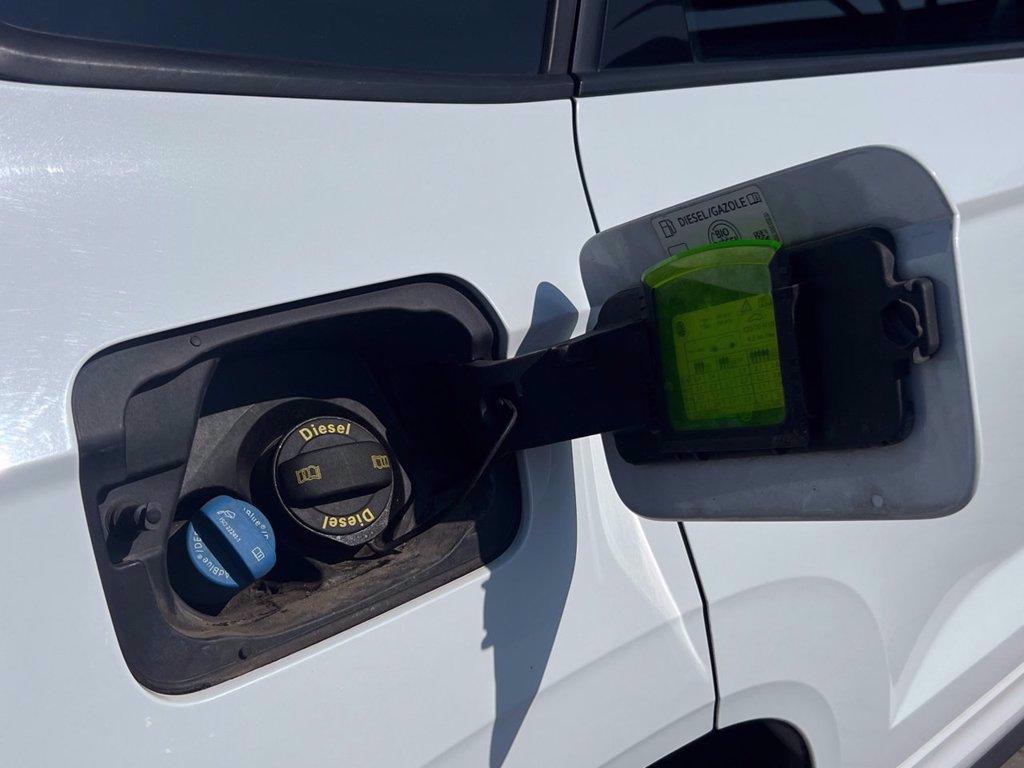 SKODA Karoq 2.0 TDI SCR 4x4 DSG Ambition del 2019