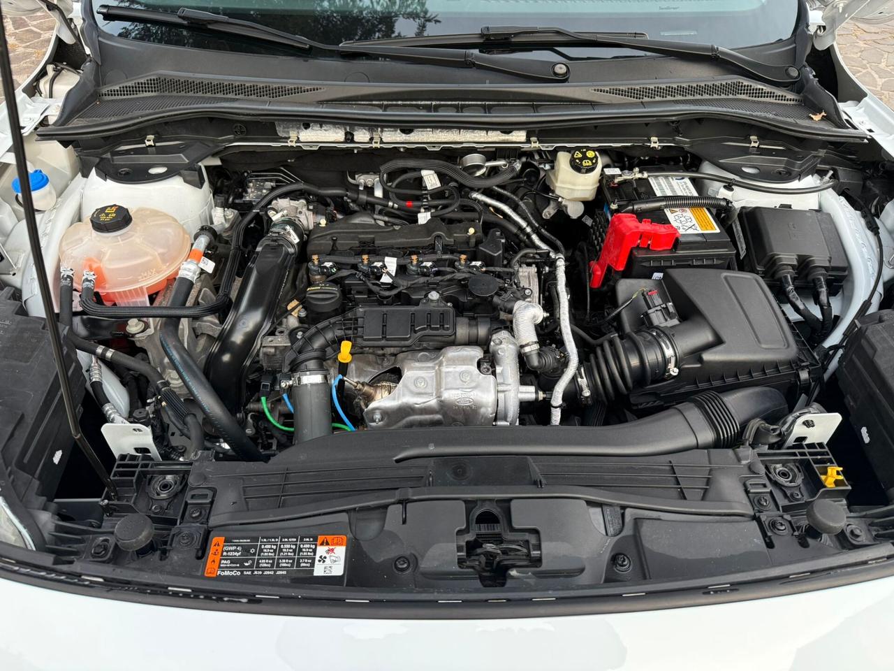 Ford Kuga 1.5 EcoBlue 120 CV aut. 2WD Titanium 11/2021