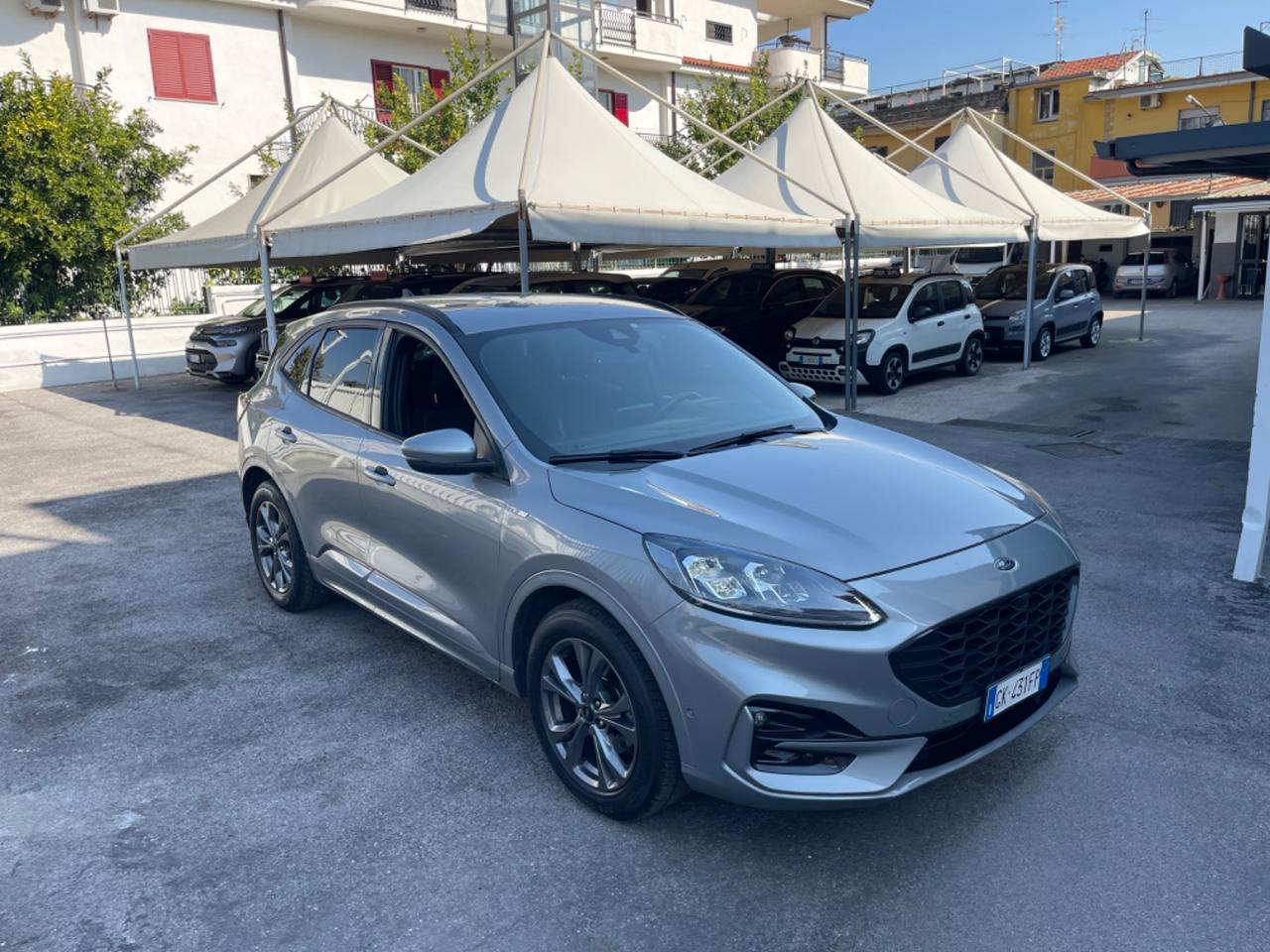 Ford Kuga 1.5 EcoBlue 120 CV aut. 2WD ST-Line X KM CERTIFICATI