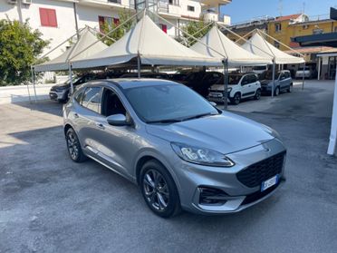 Ford Kuga 1.5 EcoBlue 120 CV aut. 2WD ST-Line X KM CERTIFICATI