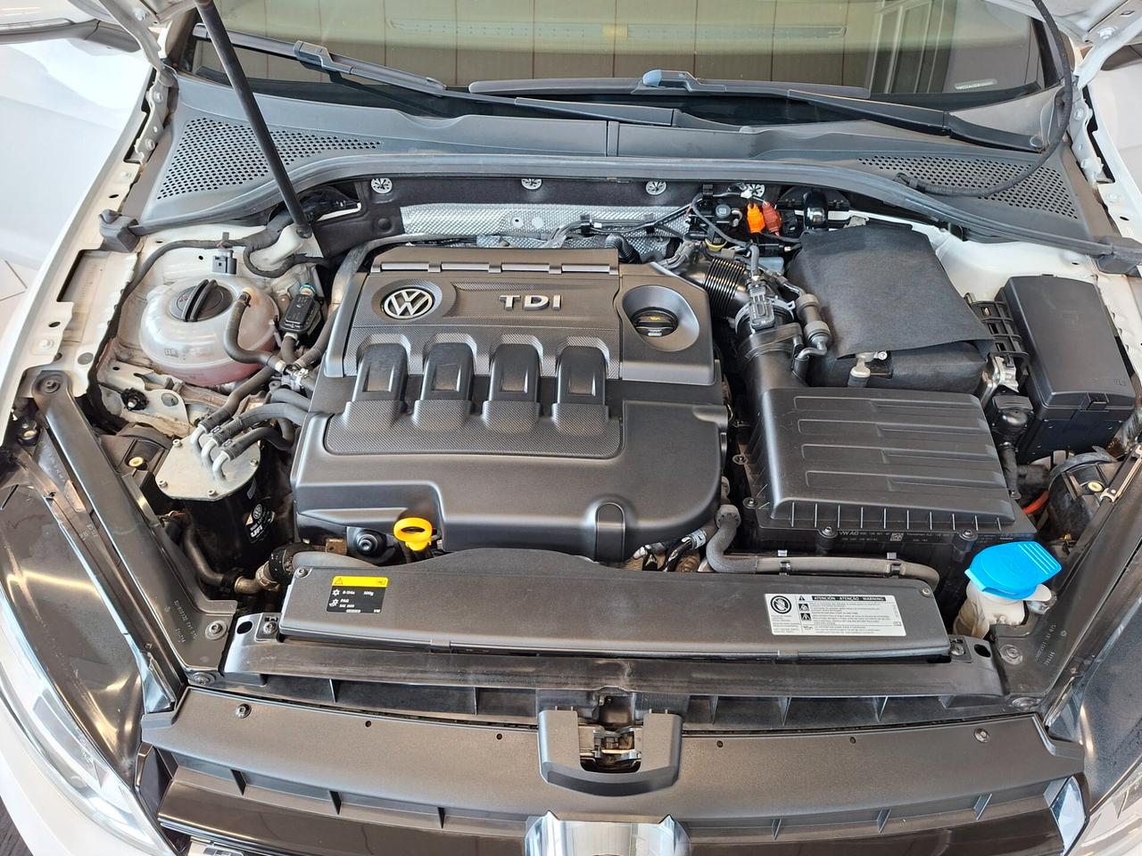 Volkswagen Golf 1.6 TDI 5p. R-line BlueMotion Technology