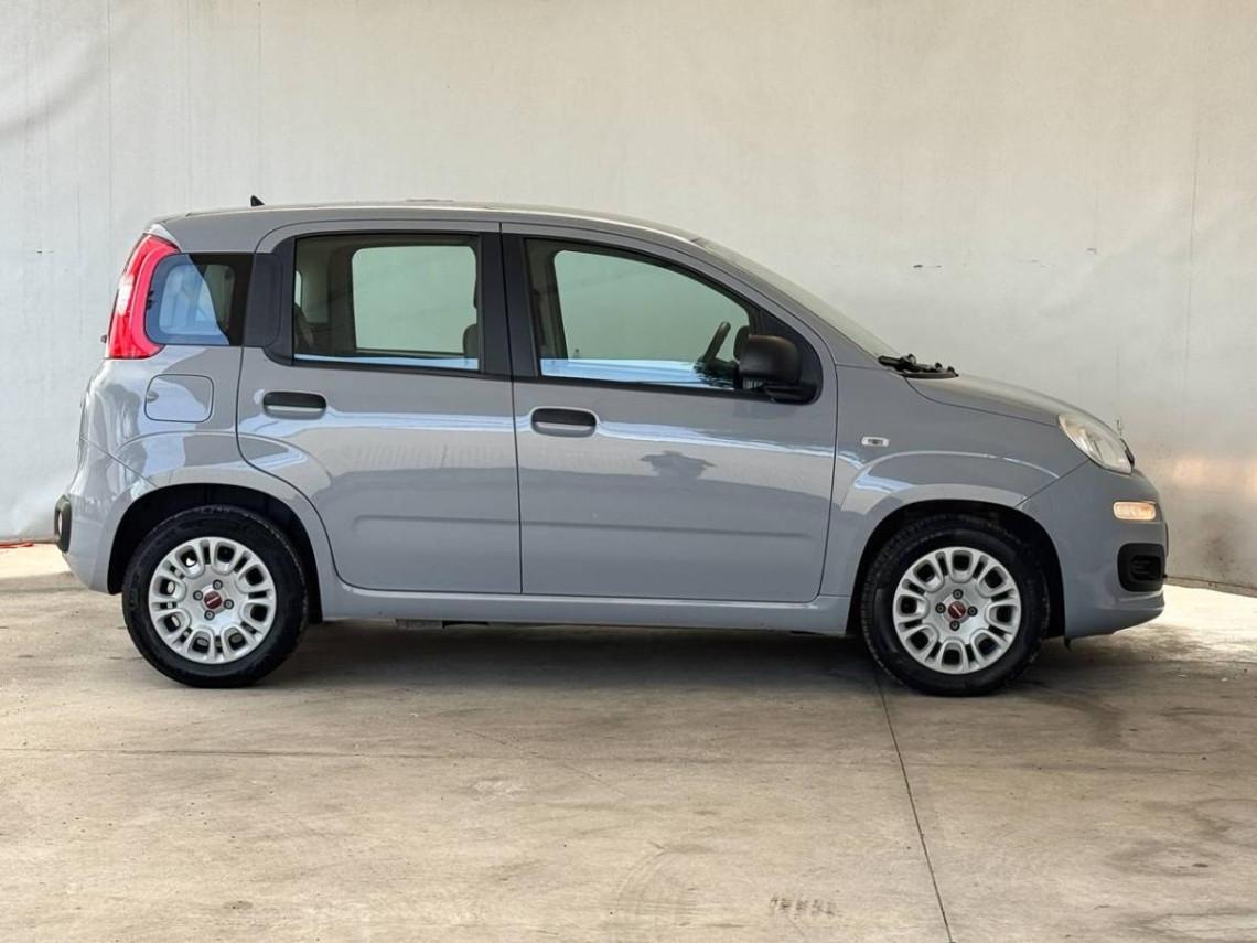 FIAT Panda 1 0 firefly hybrid 70cv new