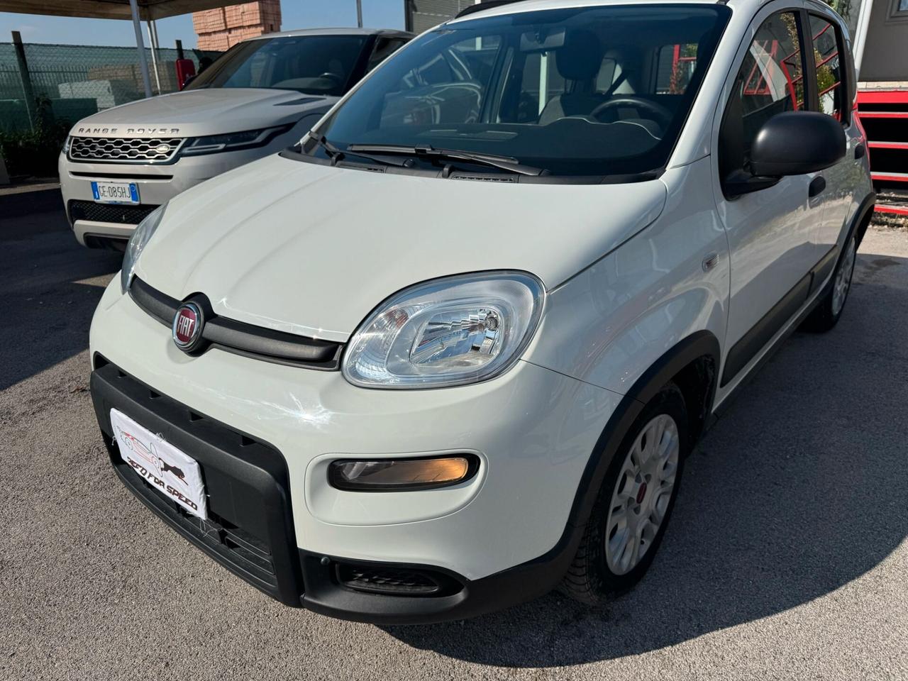 Fiat Panda 1.0 FireFly S&S Hybrid