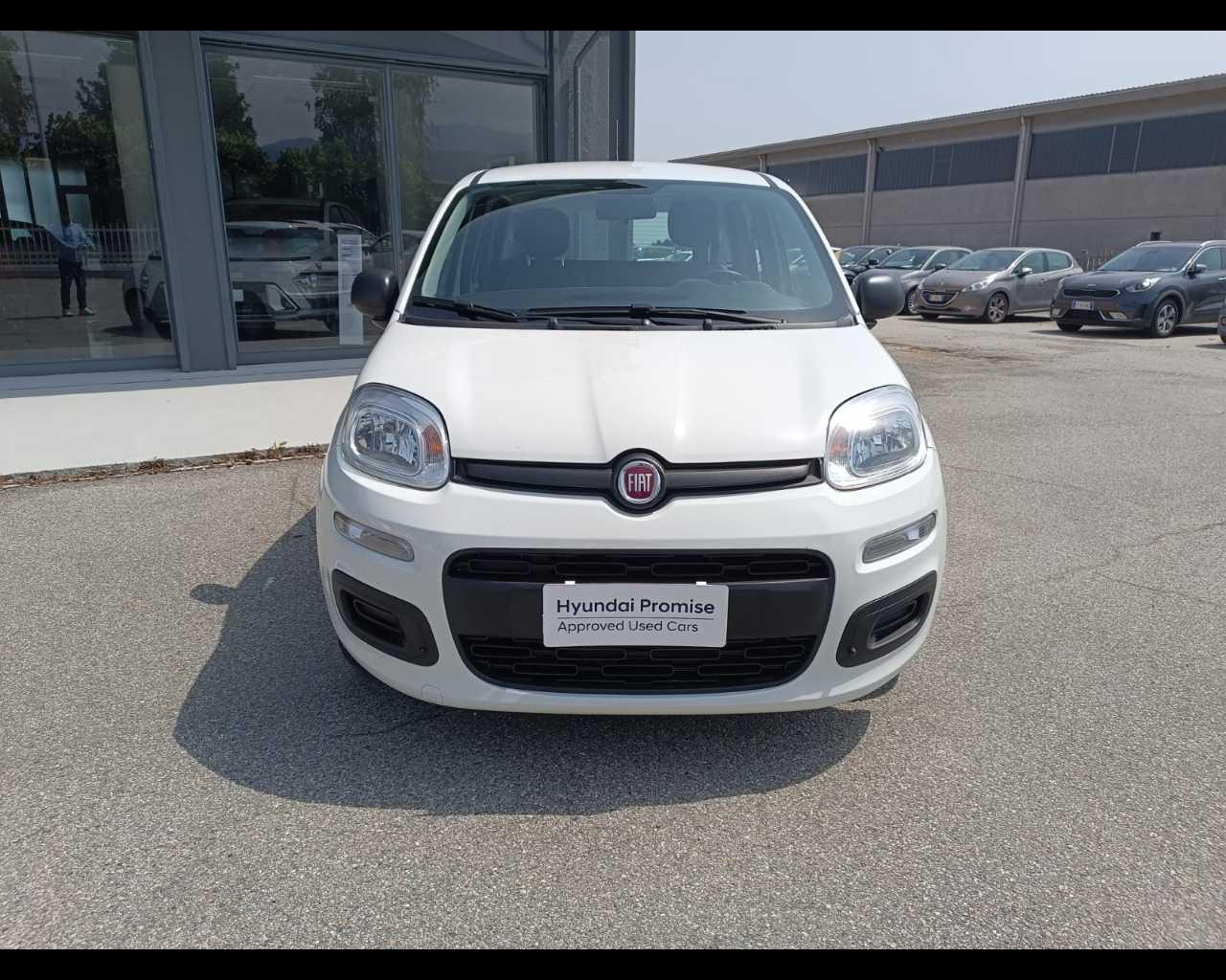 FIAT Panda III 2021 - Panda 1.0 firefly hybrid s&s 70cv